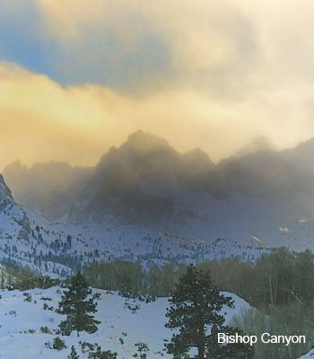 Winter Bishop Canyon